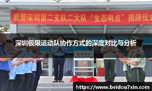 深圳极限运动队协作方式的深度对比与分析